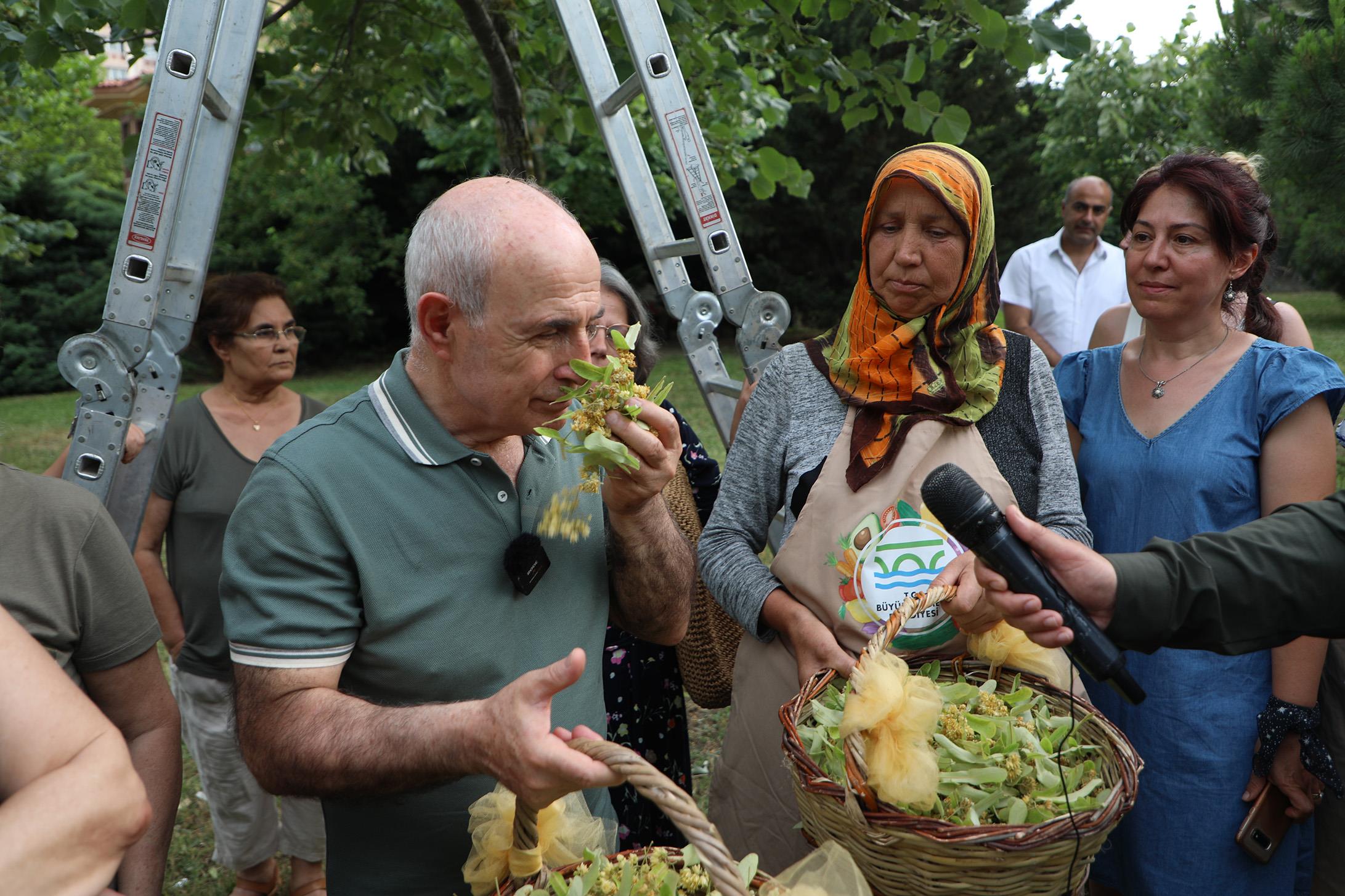 Ihlamur kokulu Büyükçekmece’de 1. Ihlamur Şenliği Başladı